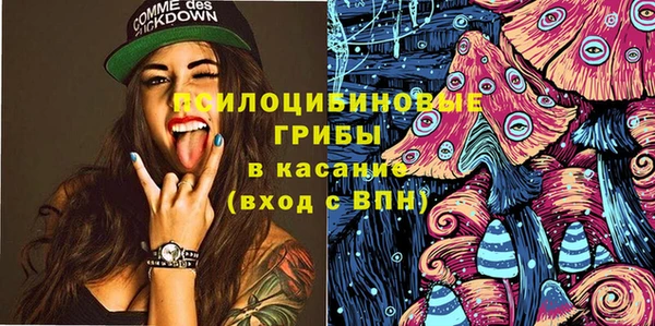 прущие грибы Кукмор
