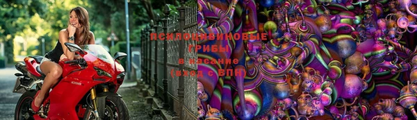 дурь Куйбышев