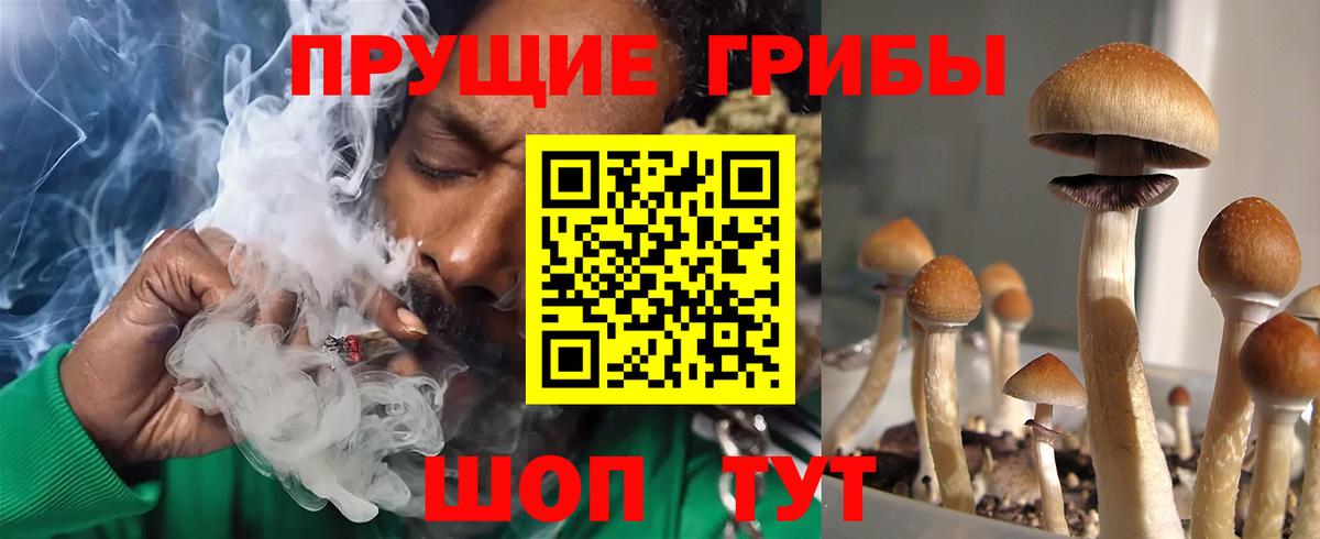 Псилоцибиновые грибы ЛСД Каменск-Уральский